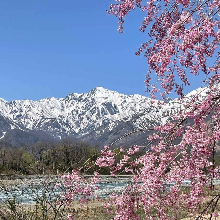 Hotel Sejour Mint In Hakuba Eksteriør billede